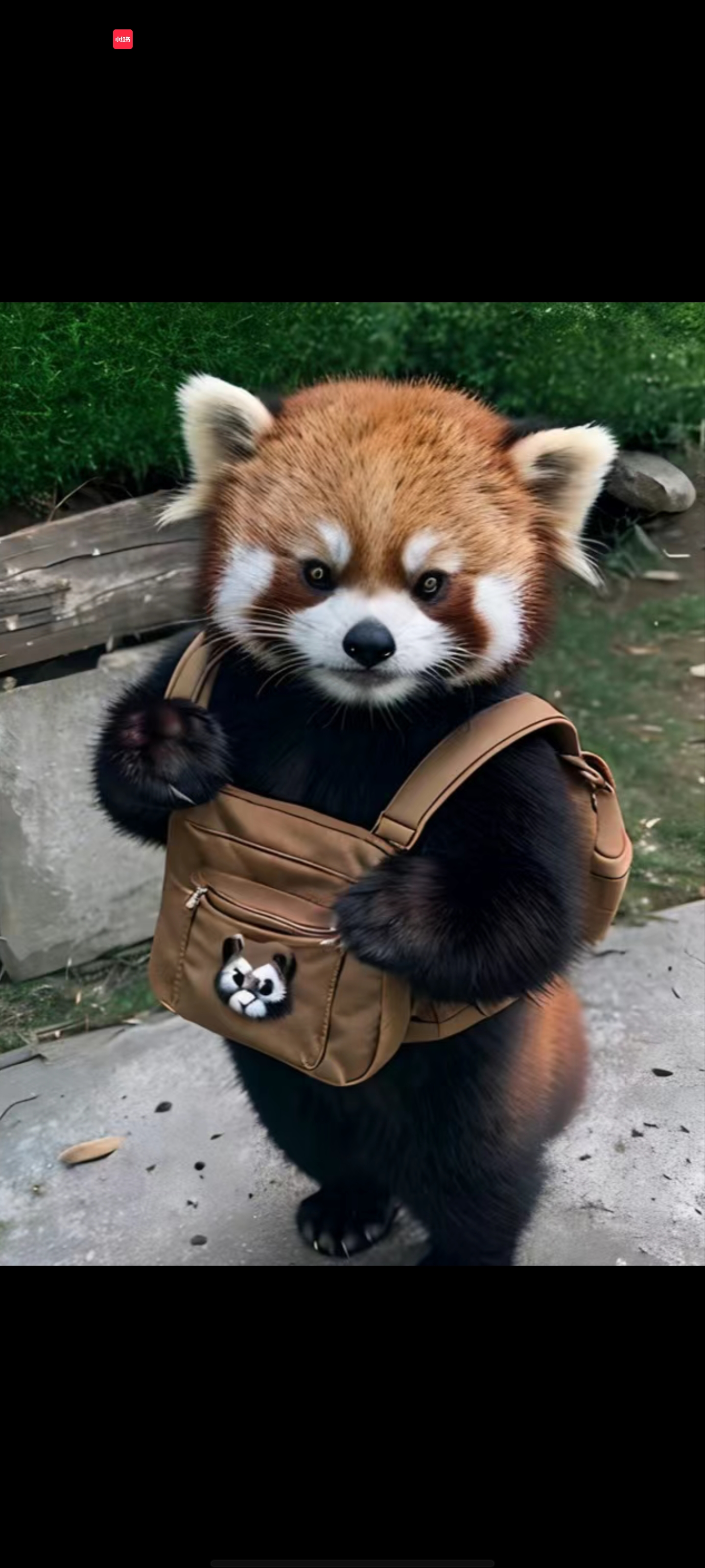 照片
